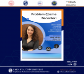 Problem Çözme Becerileri Eğitimi